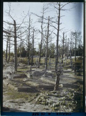 Image représentant France, Cimetière de Thuisy