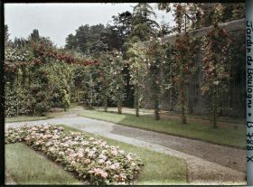 Image représentant Angle nord-ouest du jardin français, vu en direction du verger roseraie et de la forêt bleue
