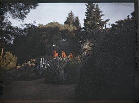 Image représentant Le Jardin au Soleil levant