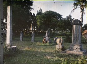 Image représentant Stèles et statues de pierre conduisant à la sépulture mandarinale