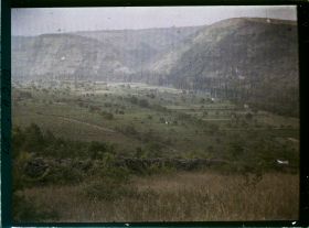 Image représentant France, Luzech, Vue prise de la Pistoule vers le sud : le tapis de vignes parsemé de maisonnettes
