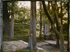 Image représentant Konglin, la nécropole de la famille de Confucius