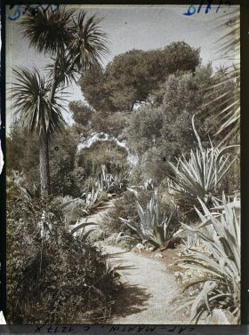 Image représentant coucher de Soleil