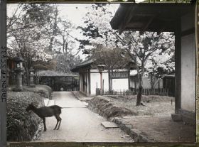 Image représentant Sanctuaire Kasuga-taisha (ou Kasuga-Jinja) : la cuisine pour les offrande (Hetsuidono) dans les dépendances du temple.