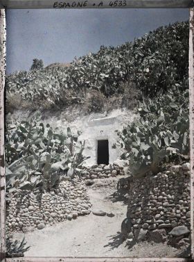 Image représentant Maison troglodyte et figuiers de Barbarie dans le quartier de Sacromonte