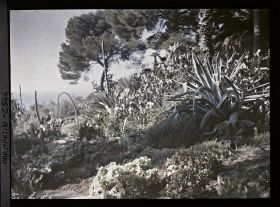 Image représentant Le jardin Partie africaine