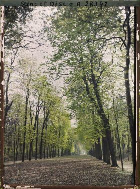 Image représentant L'allée de Sèvres dans le parc