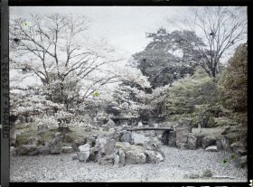 Image représentant Palais Nijô-jô: jardin du Ni-no-Maru