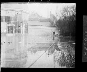 Image représentant La serre et le jardin français lors de la crue