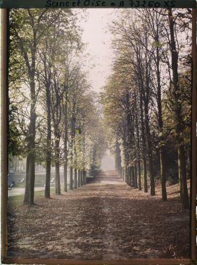 Image représentant L'allée de la Carrière dans le petit parc