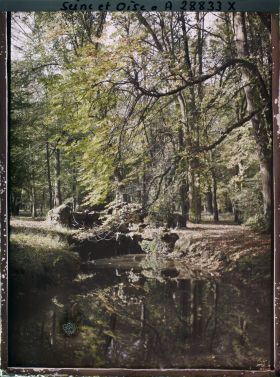Image représentant Rocaille et pièce d'eau dans le jardin du Trocadéro