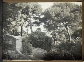 Image représentant Villa Miramar perron et escalier, vue sur le jardin vers la mer