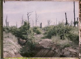 Image représentant France, Tranchées de Calonnes, Tranchée dans le Bois Haut