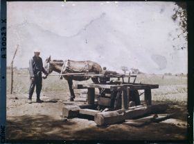 Image représentant Dans les champs