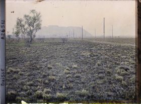 Image représentant La route de l'île Saint-Pierre, à 15 minutes de Cerlier