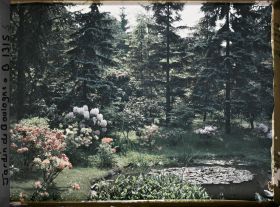 Image représentant Berges fleuries situées au nord-est du marais, vues en direction de l'est, sud-est