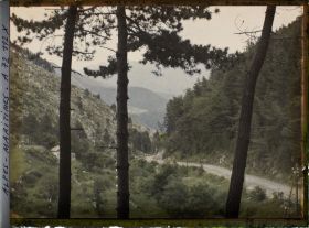Image représentant Route dans un paysage de petite montagne, vue à travers les pins