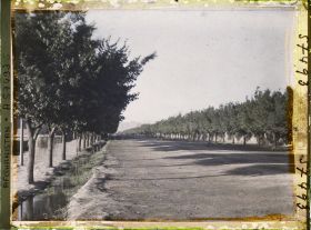 Image représentant L'avenue conduisant à l'aérodrome