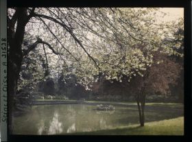 Image représentant Un bassin dans le parc