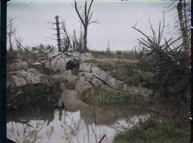 Image représentant France, Condé s/ Suippe, Rives de la Suippe
