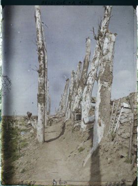 Image représentant Lignes de l'Yser près de l'Ecluse de Boesnighe, Ligne Française du Het-Sas