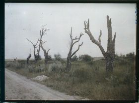 Image représentant France