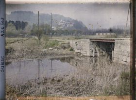 Image représentant La route de l'île Saint-Pierre et le château de Cerlier