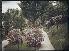 Image représentant Parterres fleuris au centre de l'allée située au sud du verger-roseraie, vus en direction de l'est