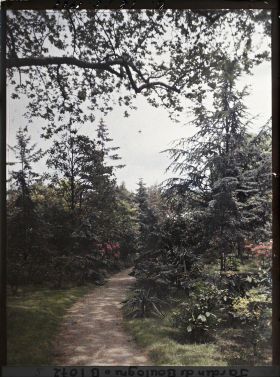 Image représentant chemin menant vers le marais