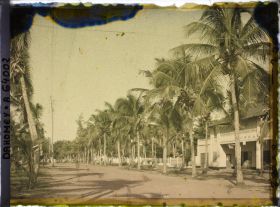 Image représentant L'avenue de la Lagune dans le quartier européen