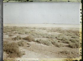 Image représentant La berge de la grande Sebkha d'Oran