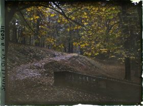 Image représentant Dans le parc