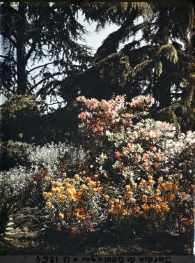 Image représentant Massif fleuri du " sanctuaire japonais " situé entre le " village japonais " et le sorinto