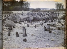 Image représentant Site palafittique préhistorique des Alpes, pieux en bois visibles lors de la baisse des eaux après la grande sécheresse de 1921