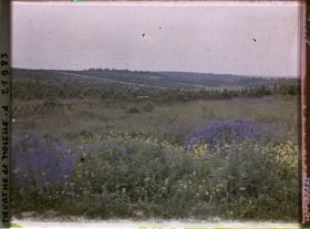 Image représentant France, Regnéville, Lisière N-O- du Bois Brulé