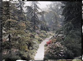 Image représentant Azalées en fleurs au bord d'une allée du " sanctuaire japonais " menant au " village japonais "