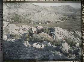 Image représentant Arbustes rouges dans les roches calcaires