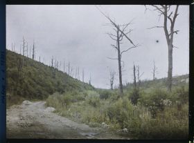 Image représentant France, Bois de la Gruerie, Le Bois de la Gruerie