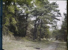 Image représentant L'île des lapins, voisine de l'île Saint-Pierre