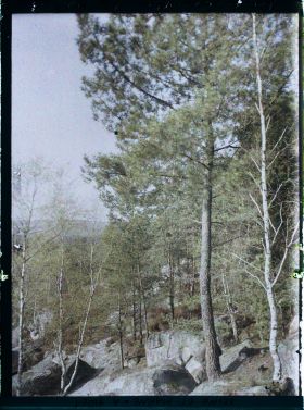 Image représentant France, Fontainebleau, Forêt de Fontainebleau