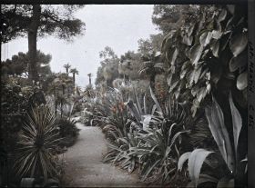 Image représentant Le Jardin, Soleil levant