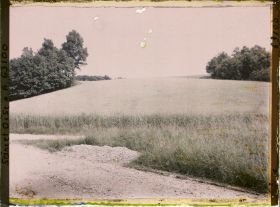 Image représentant Ile de France, Luzarches, Champ de blé en plaine