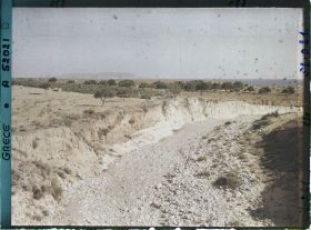Image représentant Vallée de Gouves vers la mer. Oliviers et vignes