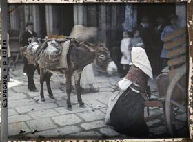 Image représentant Espagne, La Corogne, L'âne chargé des jattes de lait