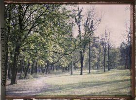 Image représentant Dans le parc