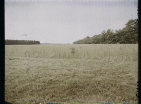 Image représentant Ile de France, Vallangoujard, Champ de blé