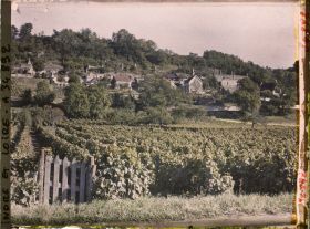 Image représentant Vignoble des coteaux de Vouvray
