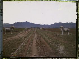 Image représentant Ming Shisanling (" Treize Tombeaux des Ming ")
