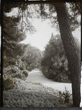 Image représentant le Jardin