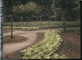 Image représentant Rond-point bordé de légumes et partie nord-ouest du verger-roseraie, vus vers la dépendance ?